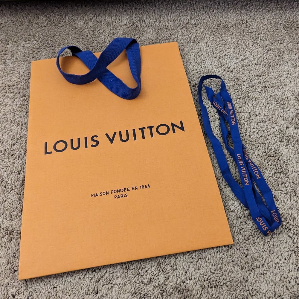 COPY - Louis Vuitton LV empty shopping bag
